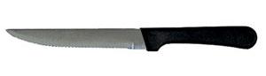 Plastic Handle Steak Knife
